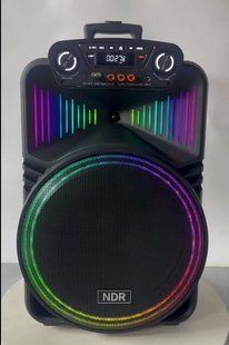 Портативна Bluetooth колонка-валіза NDR-1211 з бездротовим мікрофоном та FM-радіо NDR-1211 фото